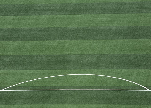 也可以改变 也可以改变