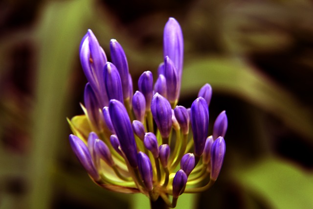 略升级所急 略升级所急