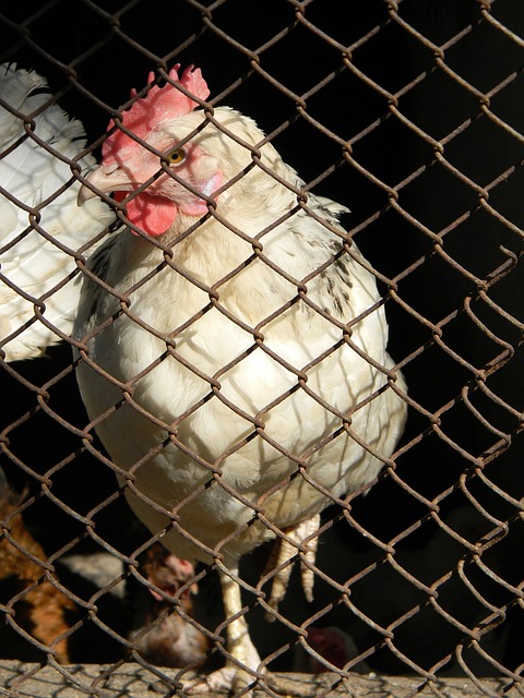 姆巴佩將為另一支球隊效力！並非皇馬！.