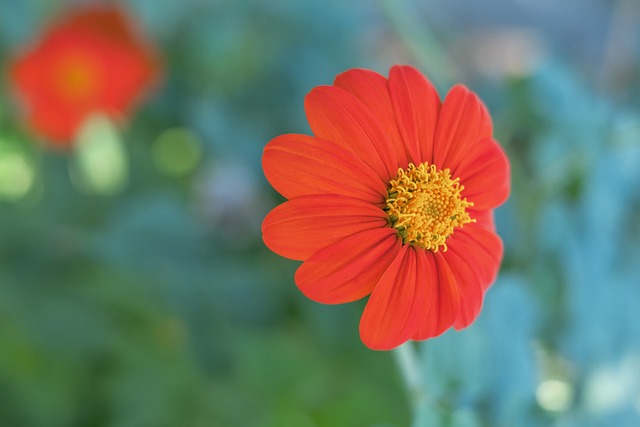 熟悉鲍威尔 熟悉鲍威尔