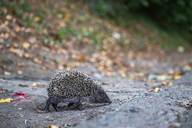 的客观事实 的客观事实